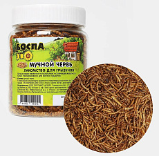 БОСПА ЭКО Мучной червь